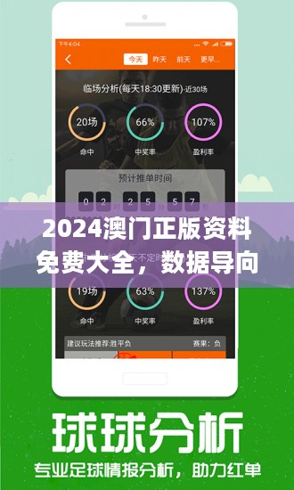 2024新澳门王中王正版-精选解释解析落实