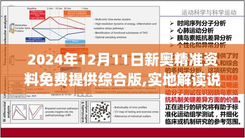 2024新奥资料免费精准天天大全-精选解释解析落实