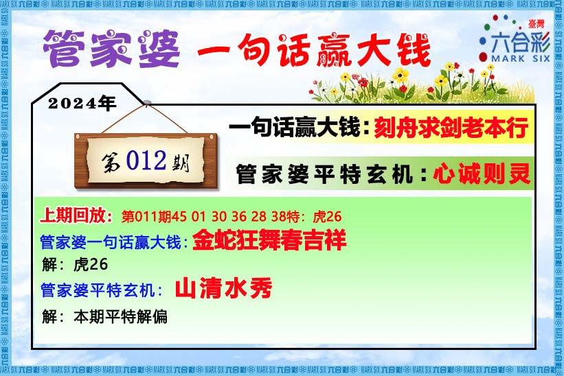 管家婆的资料一肖中特46期-精选解释解析落实