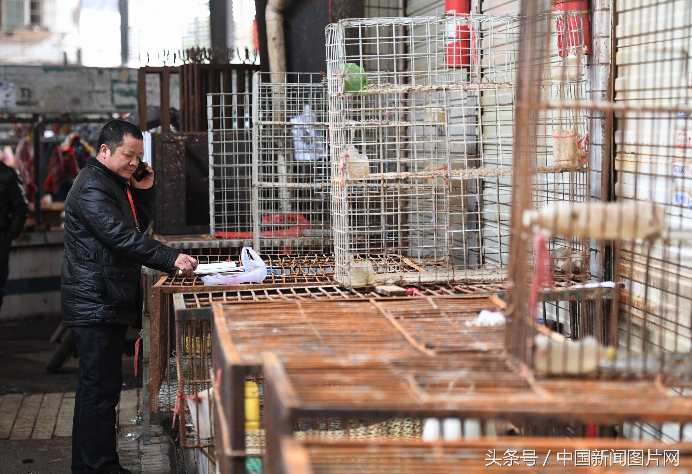 湖南H7N9最新消息，全面防控，保障人民健康