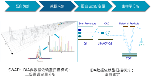 熊猫加速器最新版本，性能提升与应用优势分析