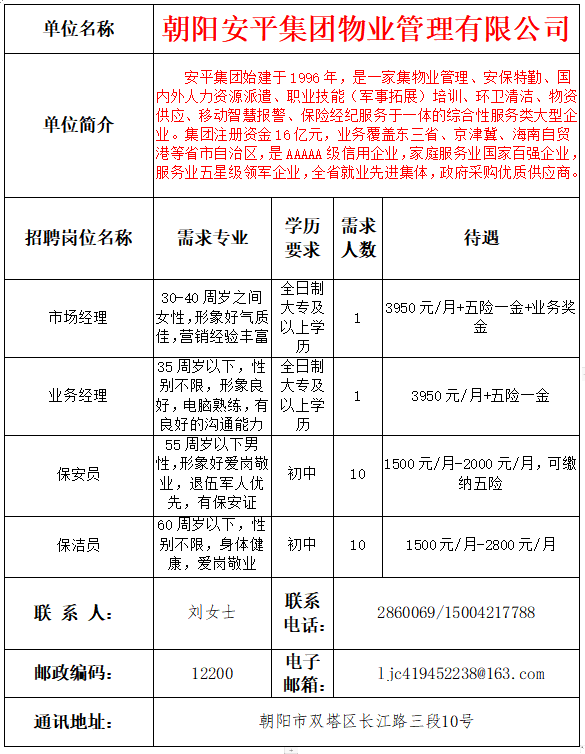 北京朝阳招聘网最新招聘动态深度解析