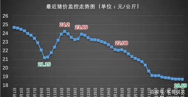 甘肃猪价今日最新消息，市场动态与影响因素分析