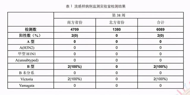 直插港澳台最新一期，深度解读地区发展新动态